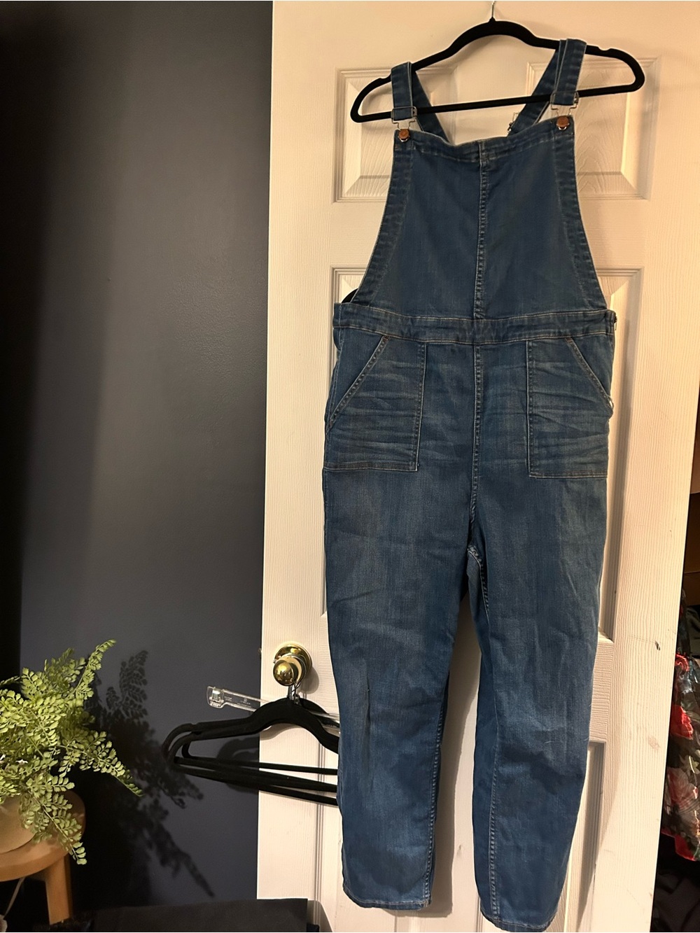 Women’s Madewell Denim Overalls in Classic Blue